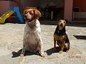 Ed ora... al sole!!!
