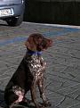 Theo...5 mesi!!!