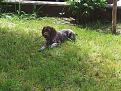 20130511 zara3