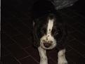 Copia di SAM 0566