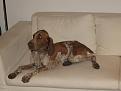 IMG 1096
