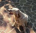 Il mio Casey