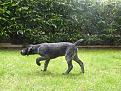 CORA 05 2014
