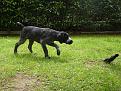 CORA 05 2014 018