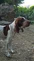 IMG 20140818 185821