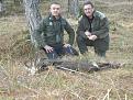 accompagnamento al camoscio a bassa quota