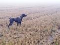 Prime nebbie e prime ferme...