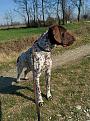 IMG 20170302 125319